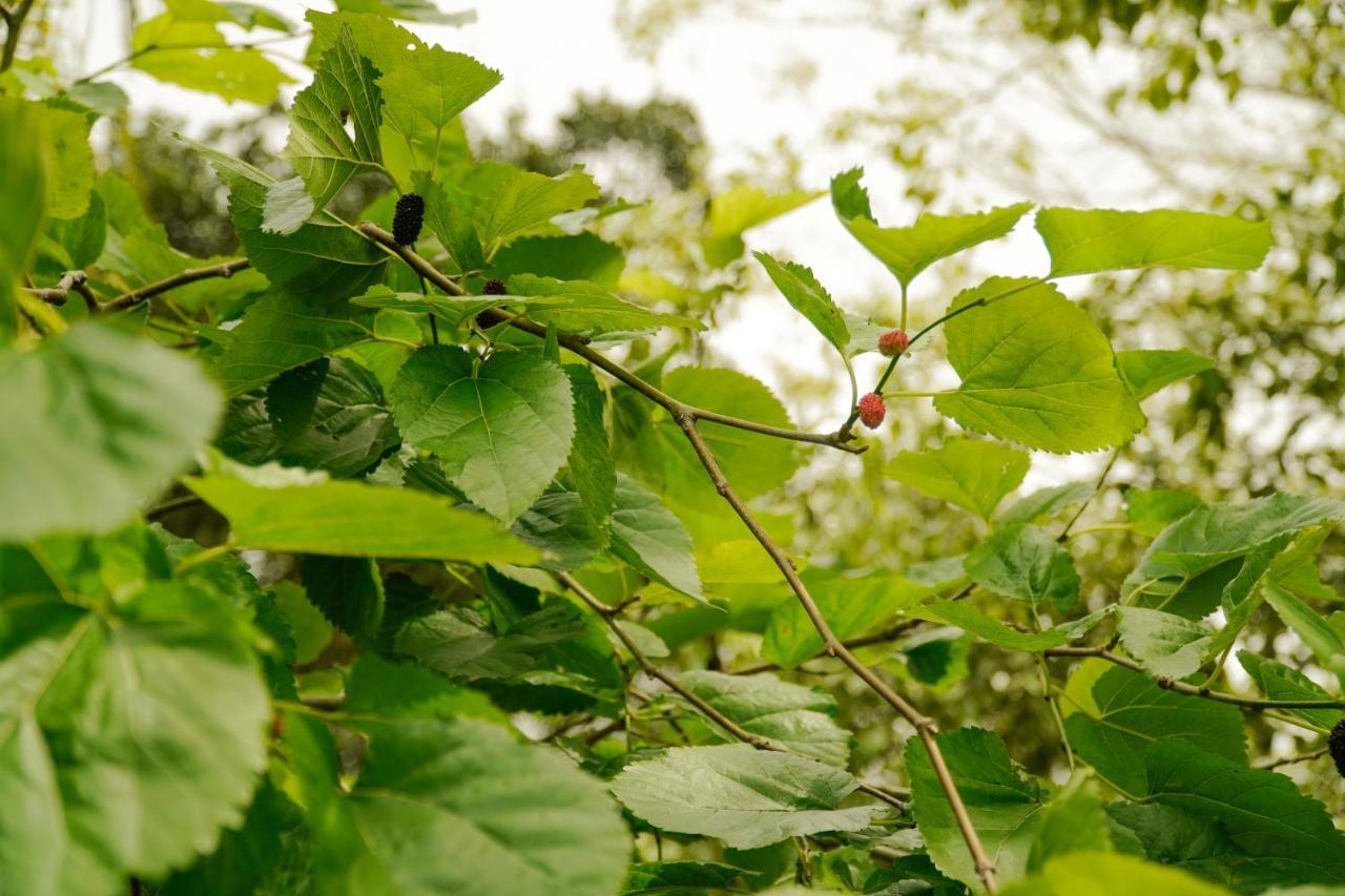 Pousada Dunasol Floripa Florianópolis 外观 照片