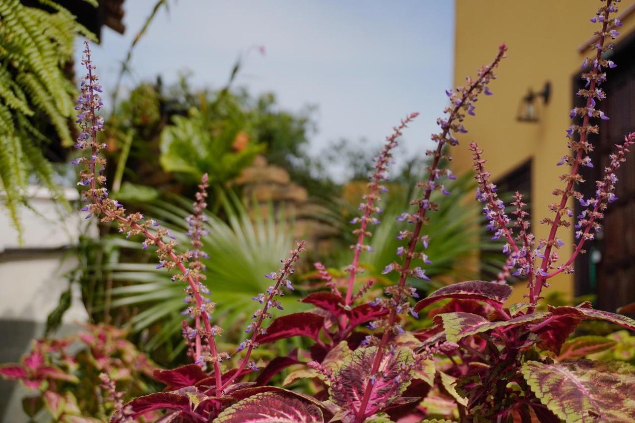 Pousada Dunasol Floripa Florianópolis 外观 照片