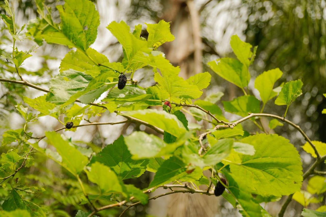 Pousada Dunasol Floripa Florianópolis 外观 照片