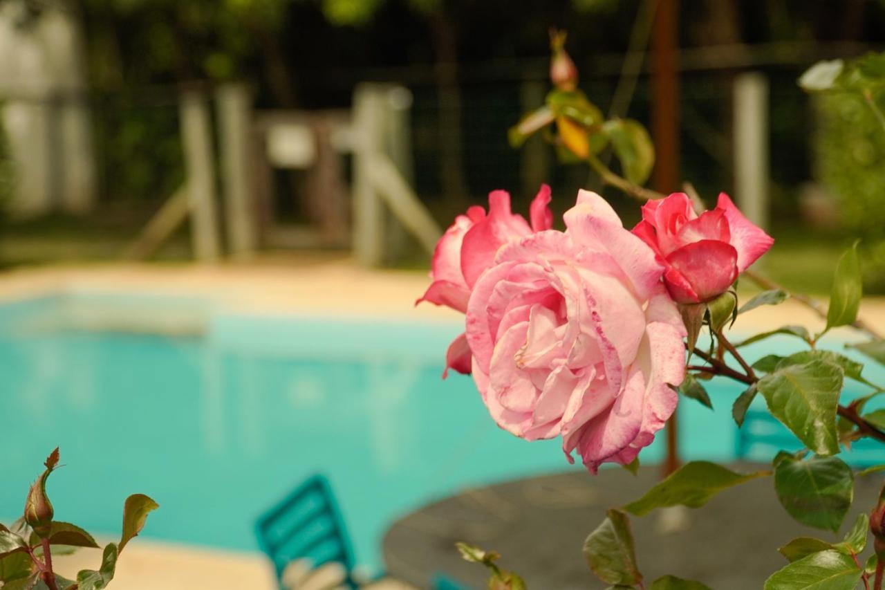 Pousada Dunasol Floripa Florianópolis 外观 照片