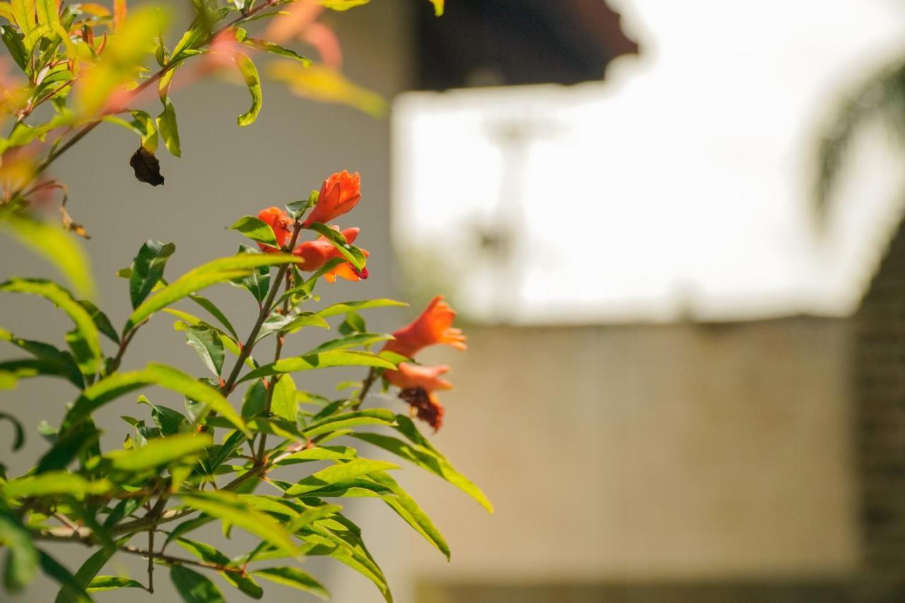 Pousada Dunasol Floripa Florianópolis 外观 照片