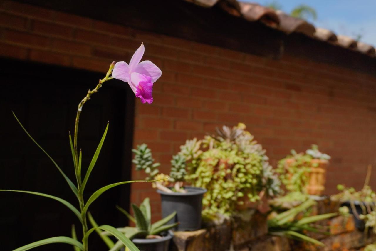 Pousada Dunasol Floripa Florianópolis 外观 照片