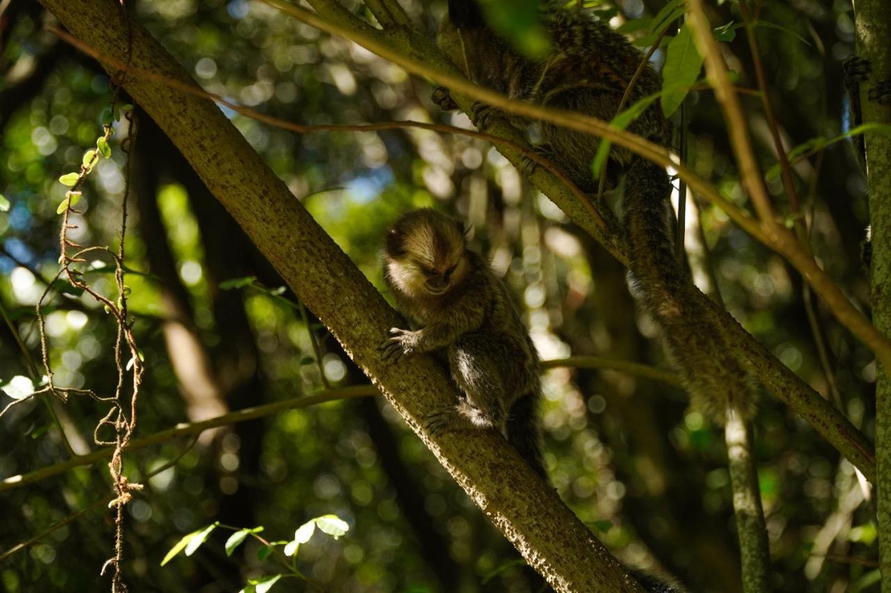 Pousada Dunasol Floripa Florianópolis 外观 照片