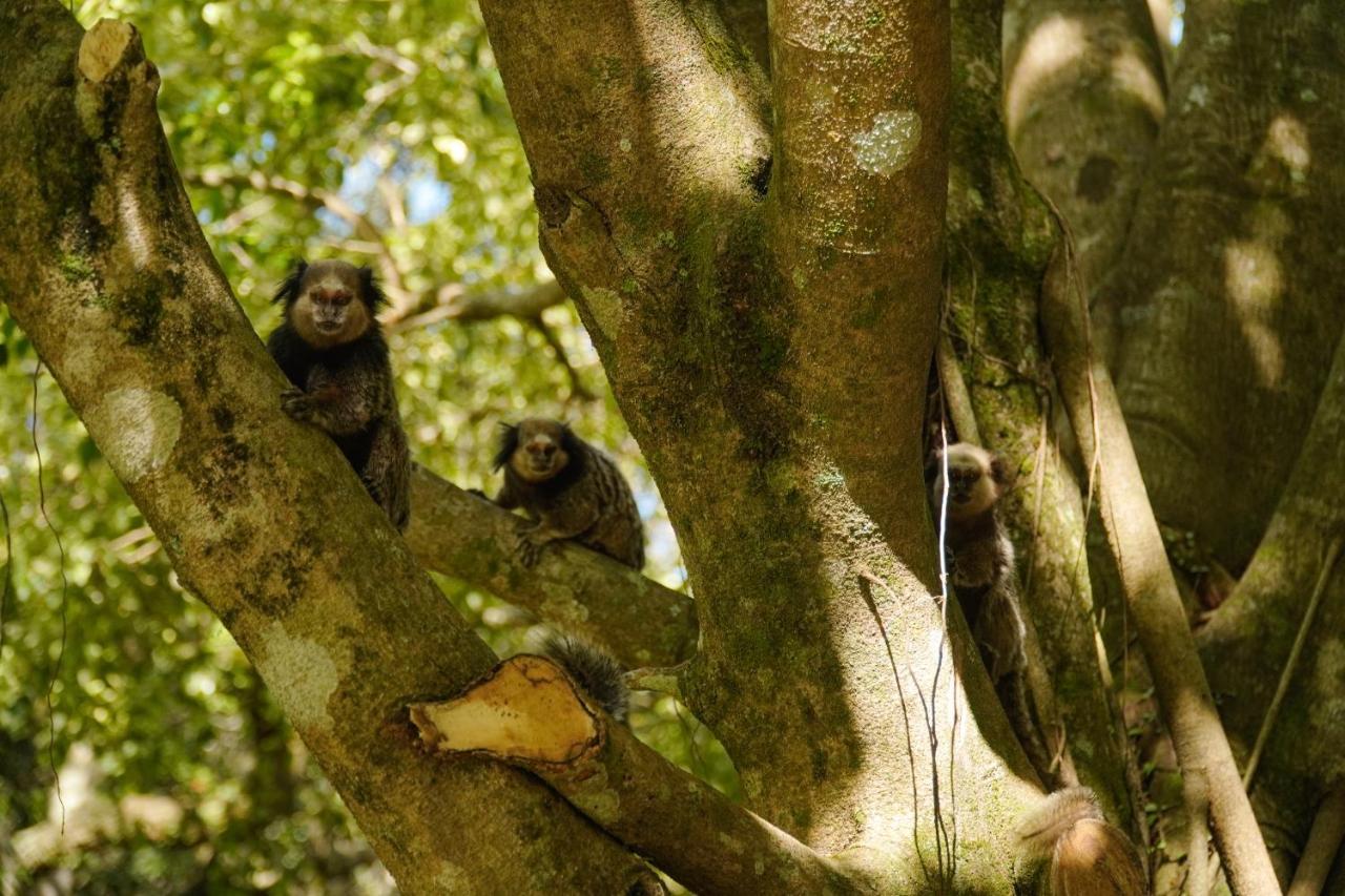 Pousada Dunasol Floripa Florianópolis 外观 照片